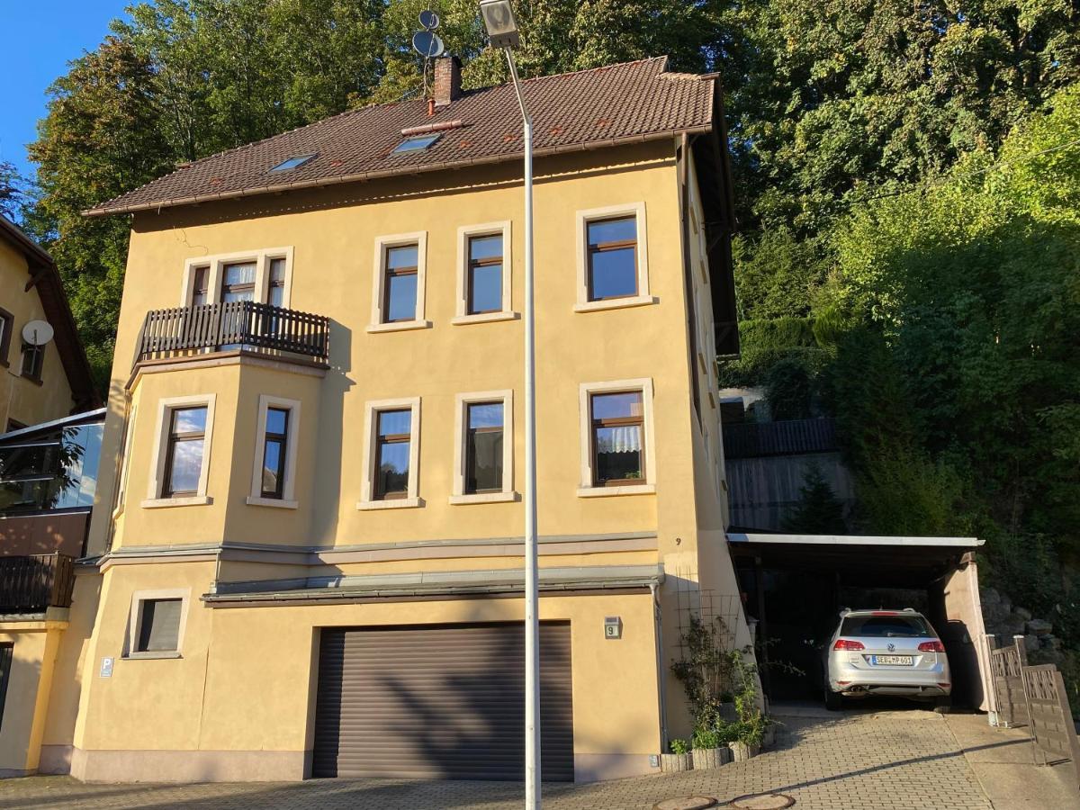 Waldblickwohnung Mit Schoener Terrasse Und Kamin Sebnitz Luaran gambar
