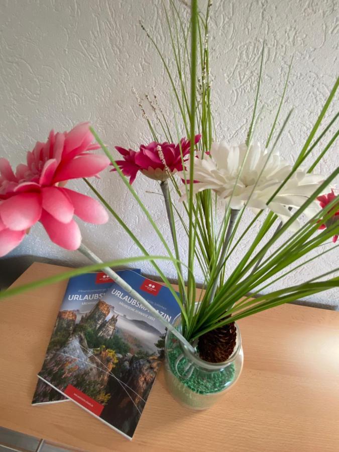 Waldblickwohnung Mit Schoener Terrasse Und Kamin Sebnitz Luaran gambar