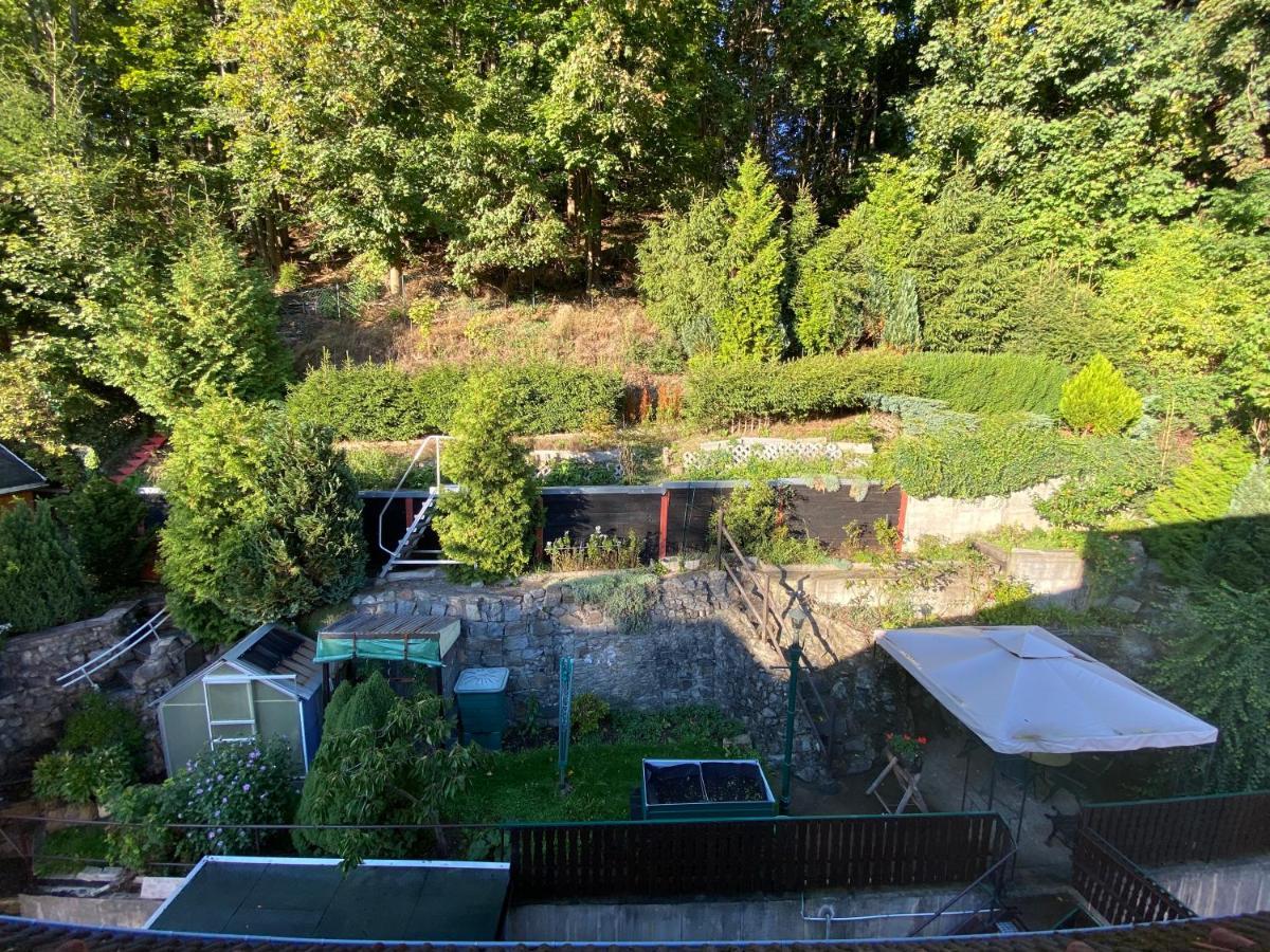 Waldblickwohnung Mit Schoener Terrasse Und Kamin Sebnitz Luaran gambar