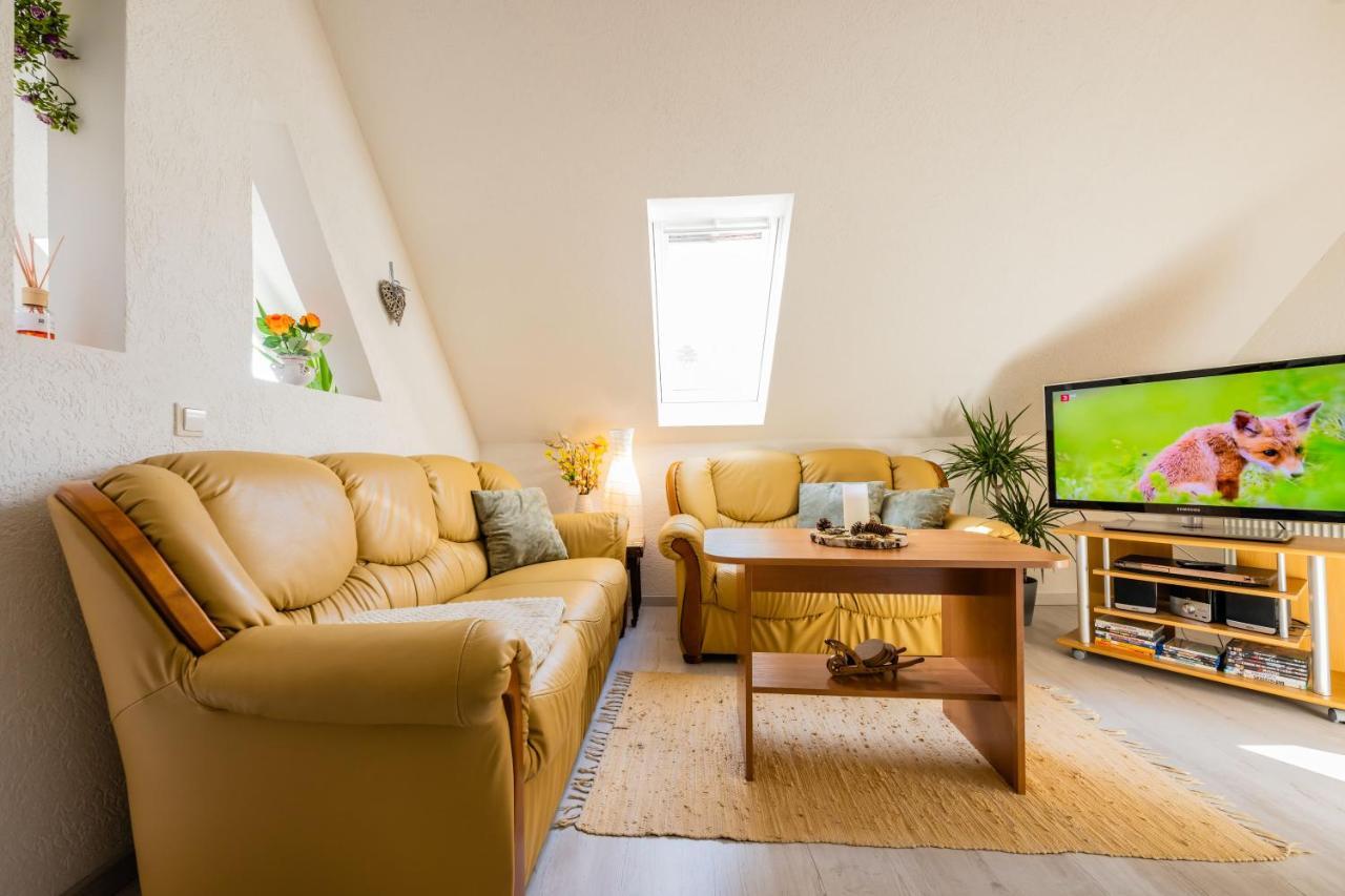 Waldblickwohnung Mit Schoener Terrasse Und Kamin Sebnitz Luaran gambar