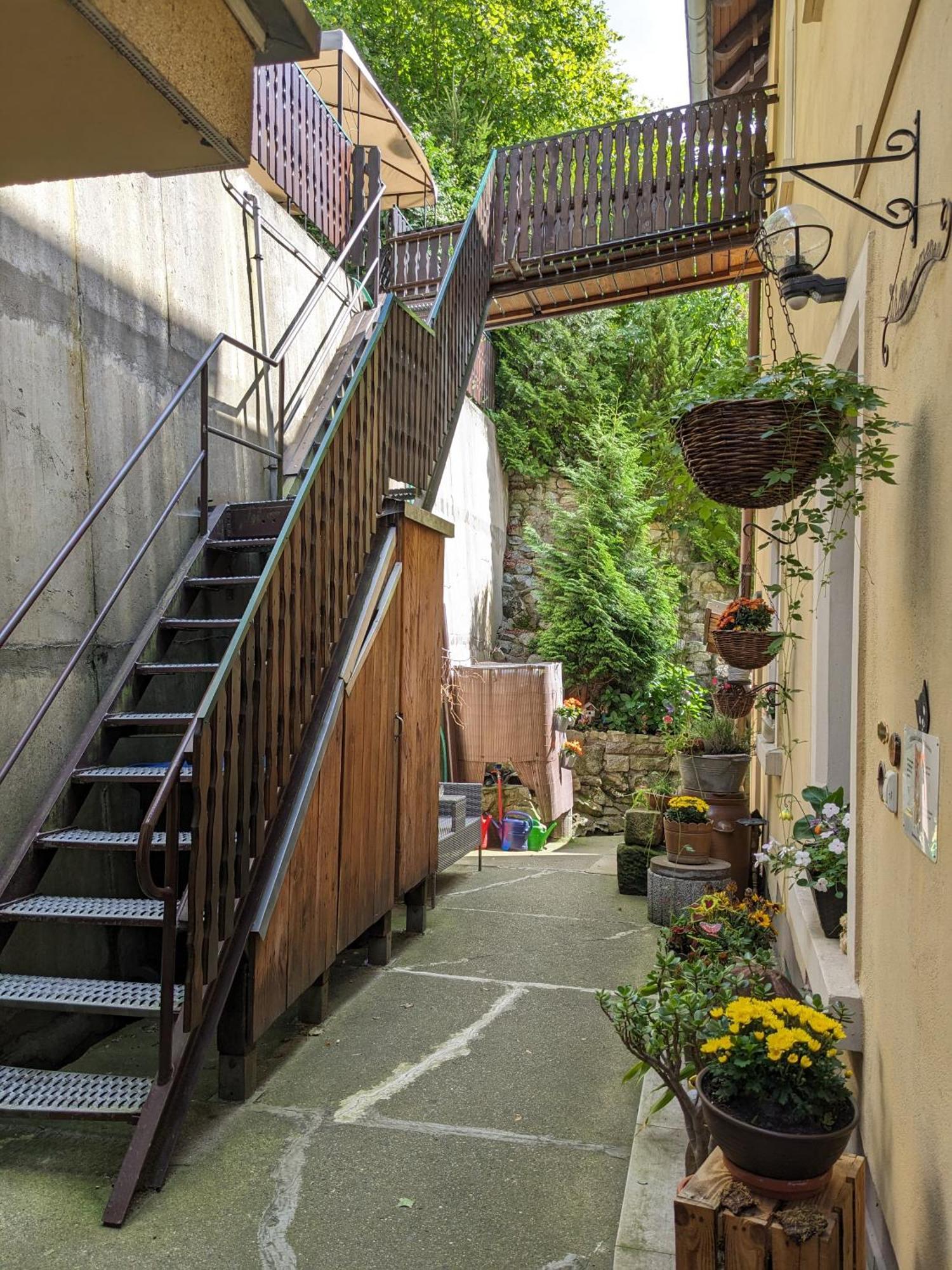 Waldblickwohnung Mit Schoener Terrasse Und Kamin Sebnitz Luaran gambar