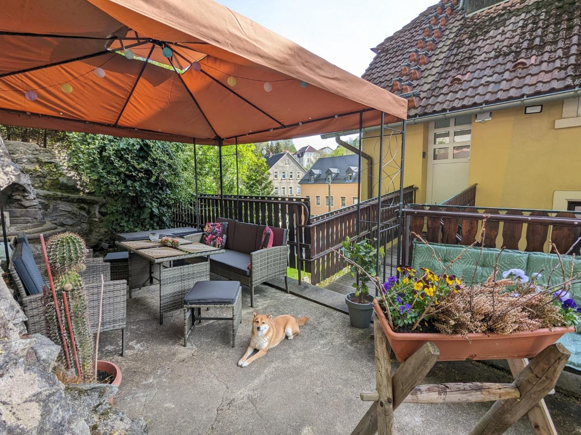 Waldblickwohnung Mit Schoener Terrasse Und Kamin Sebnitz Luaran gambar